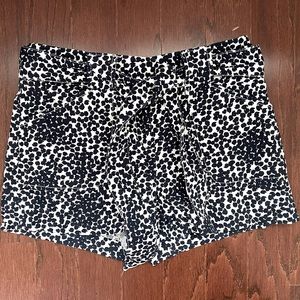Women’s Loft Blue Dot Shorts